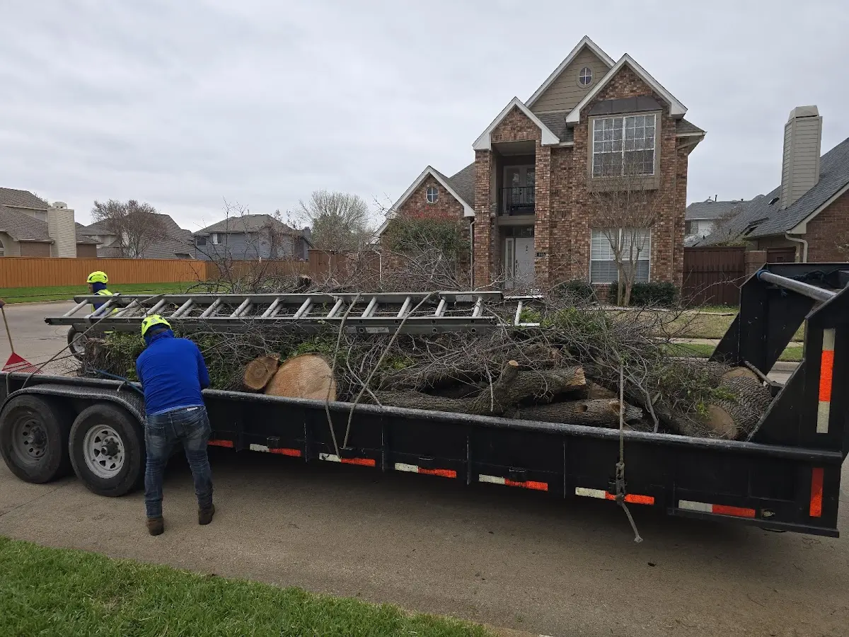 Expert Crown Reduction with proper safety equipment in Pipe Creek